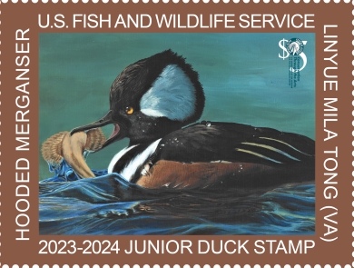 Junior Duck Stamp U.S. Fish Wildlife Service